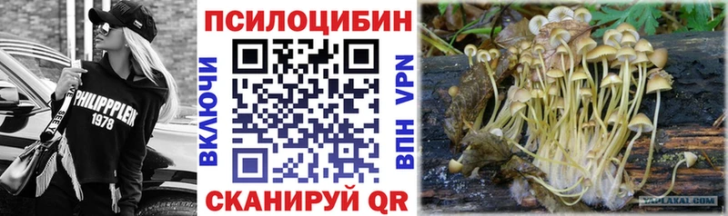hydra вход  Богородск  Галлюциногенные грибы Magic Shrooms 