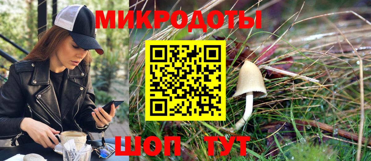 Псилоцибиновые грибы Psilocybe  Богородск 