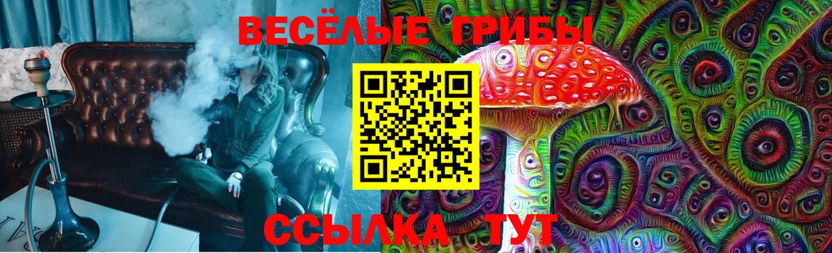 Галлюциногенные грибы Magic Shrooms  Вход с VPN  Богородск  Псилоцибиновые грибы GOLDEN TEACHER 
